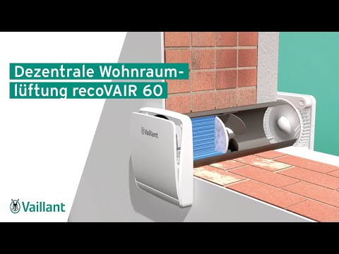 YouTube-Video-Thumbnail