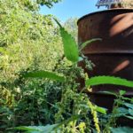 Feuertonne im Garten