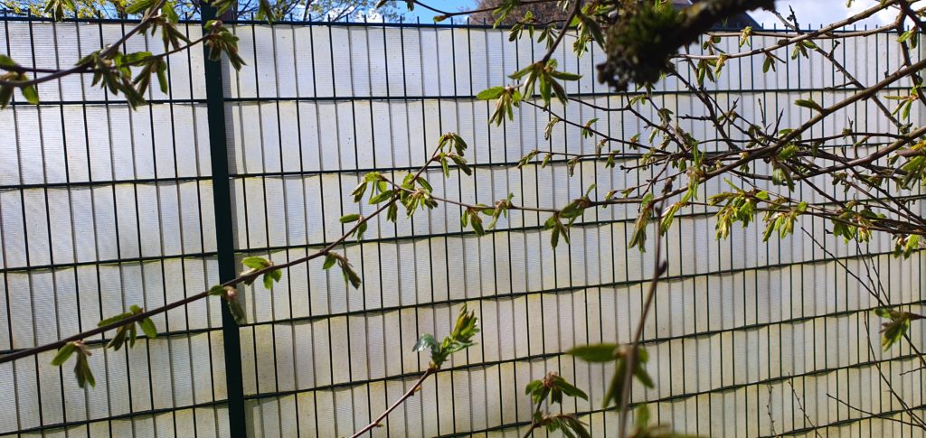 Stabmattenzaun mit Sichtschutz Stabmattenzaun mit Sichtschutz