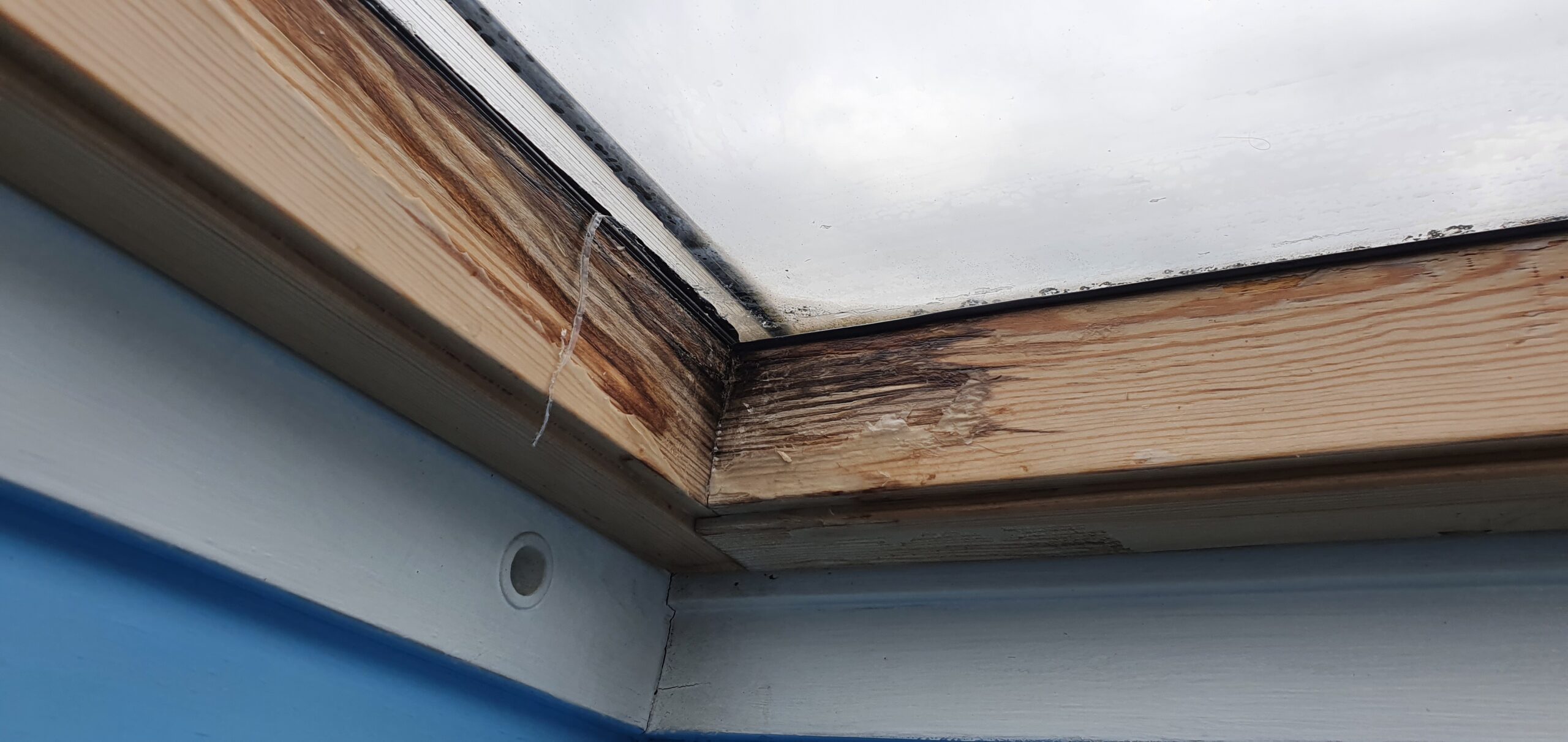 Dachfenster Baumängel. Feuchtigkeit und Schimmel. Erfahrung und Gewährleistung?