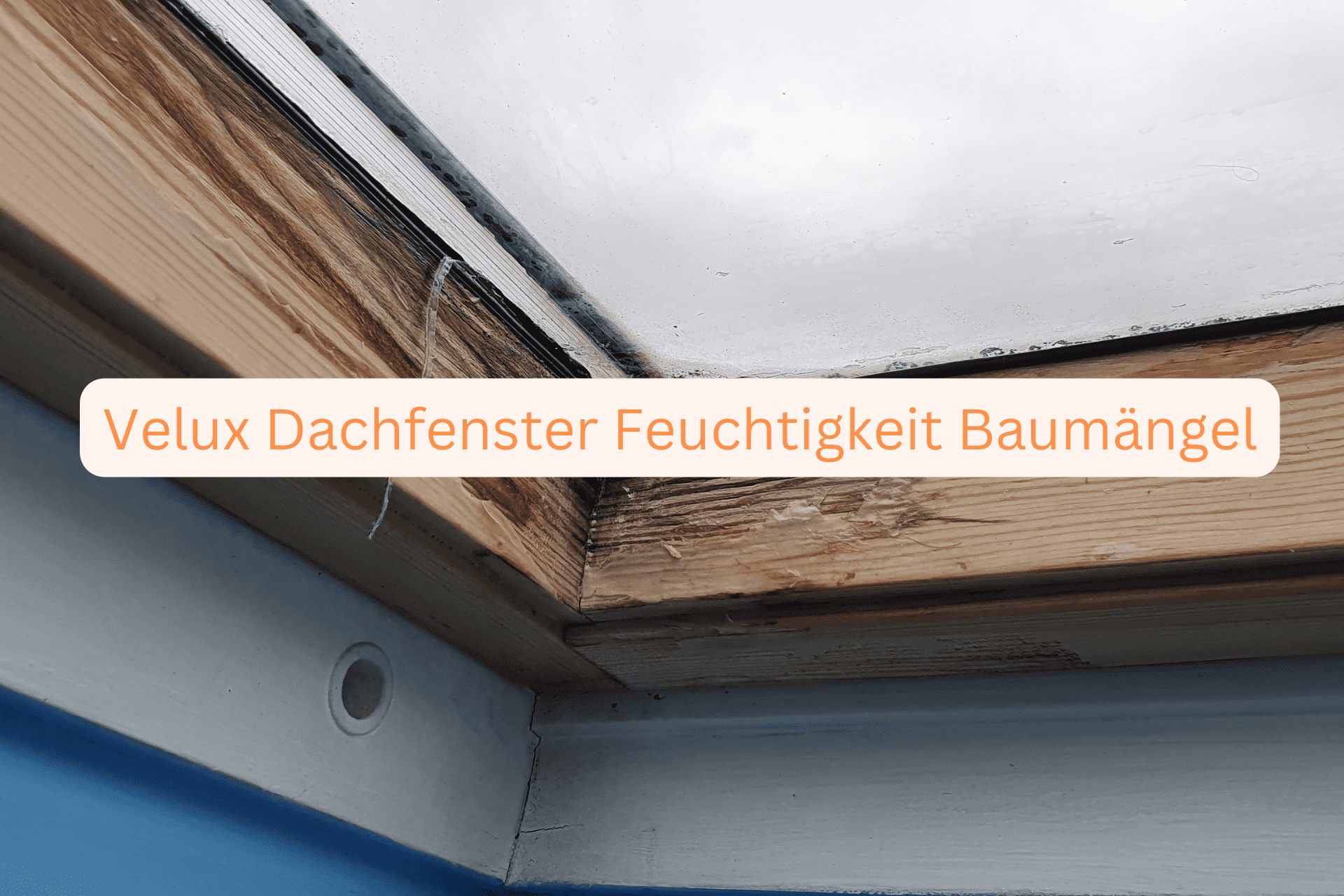 Velux Dachfenster Feuchtigkeit Baumängel