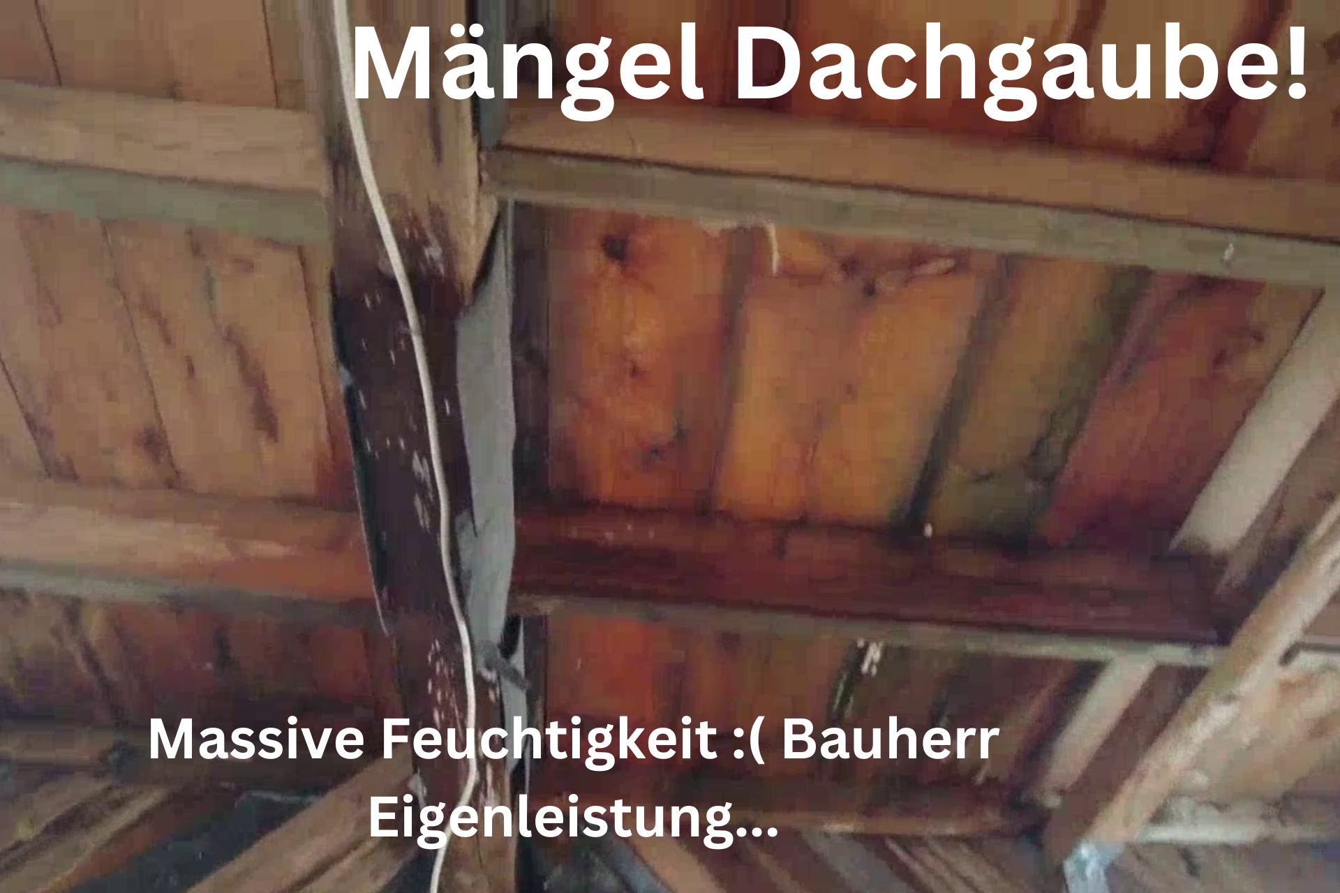 Feuchtigkeitsmängel Dachgaube die der Bauherr in Eigenleistung gebaut hat