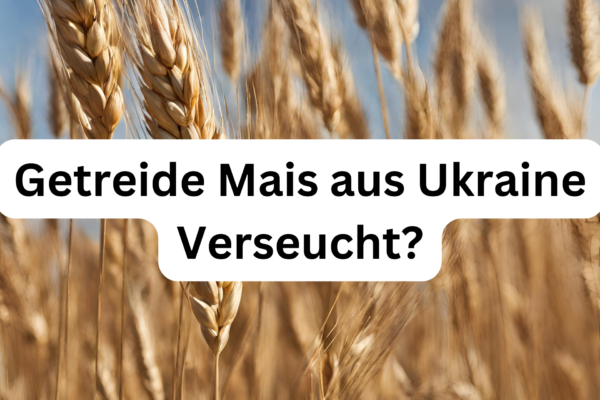 Getreide aus Ukraine Verseucht