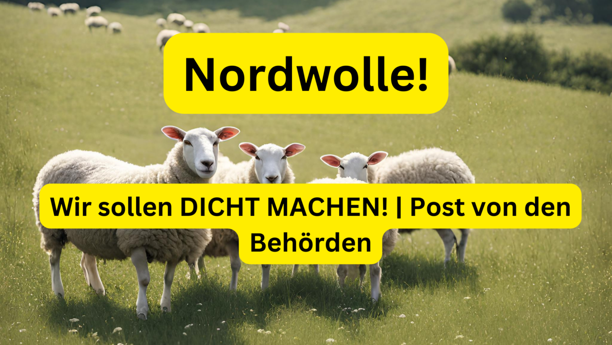 Nordwolle Wir sollen DICHT MACHEN! Post von den Behörden