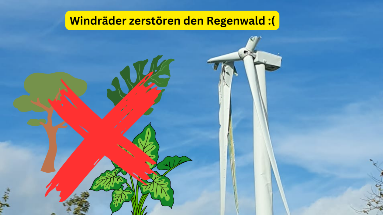 Deutsche Windräder zerstören den Regenwald!