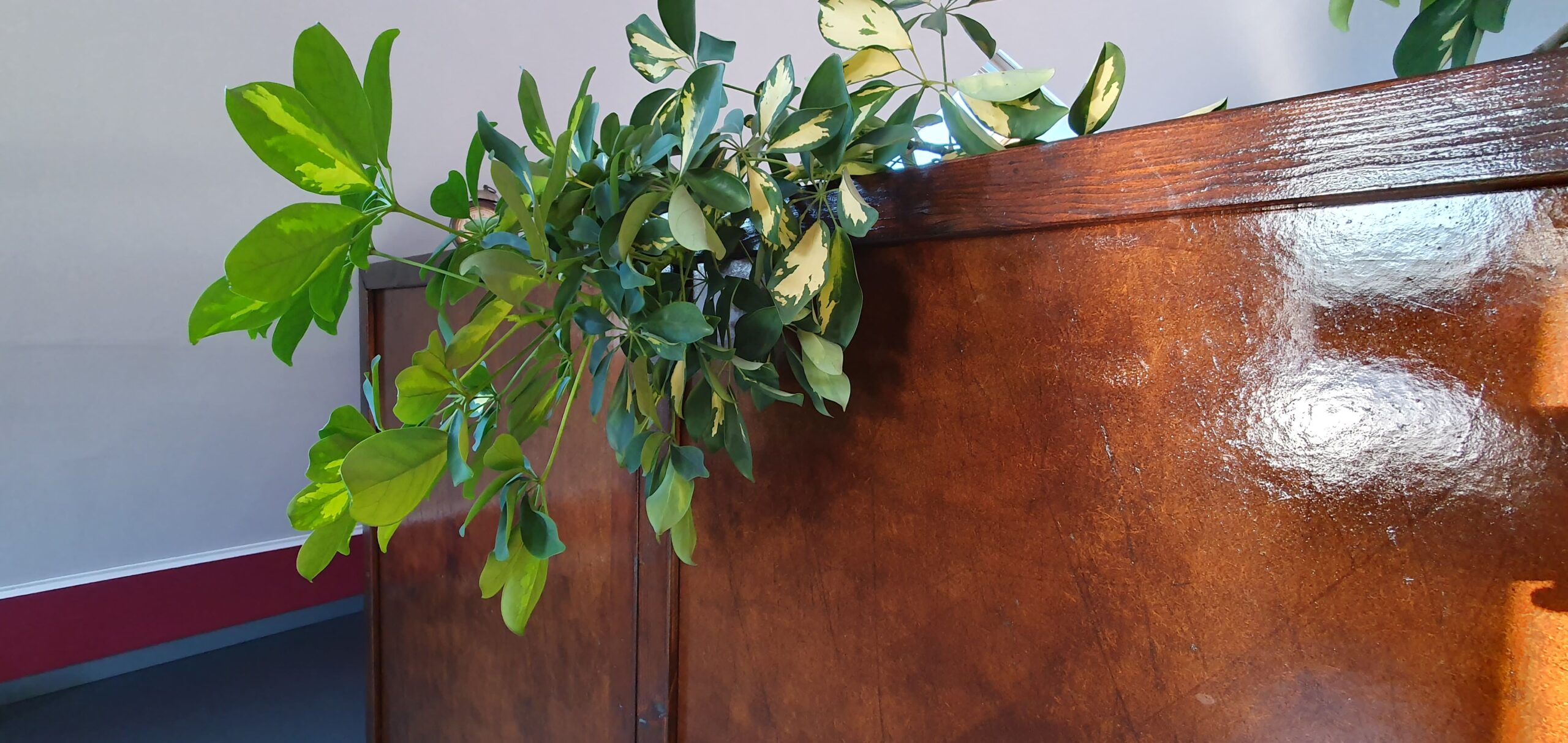 Alter edler Holzschrank