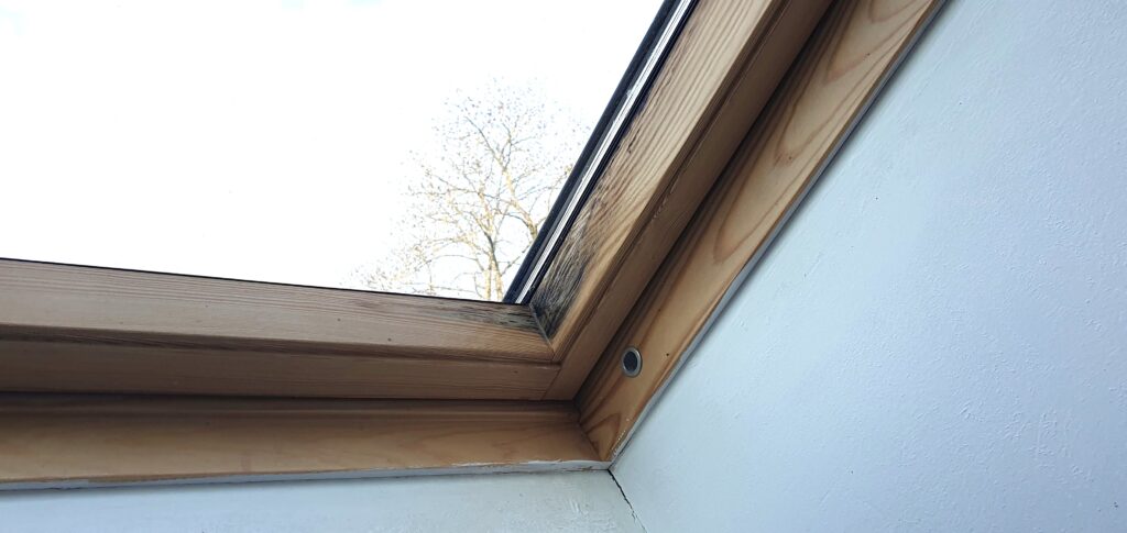 Dachfenster streichen und pflegen – So bleibt dein Fenster lange schön 3 Ecke schon erste Schäden zu sehen